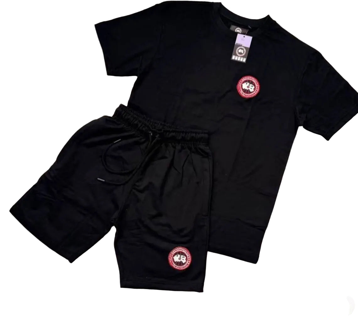 Canada goose – productfoto 1