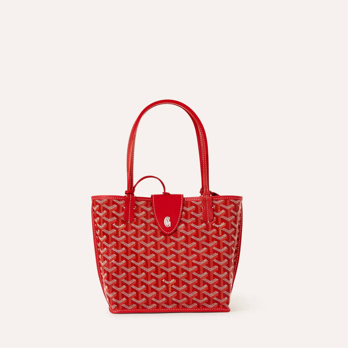 Goyard Anjou Mini Tas β productfoto 11