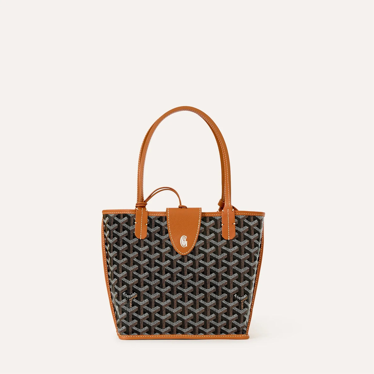 Goyard Anjou Mini Tas – productfoto 6