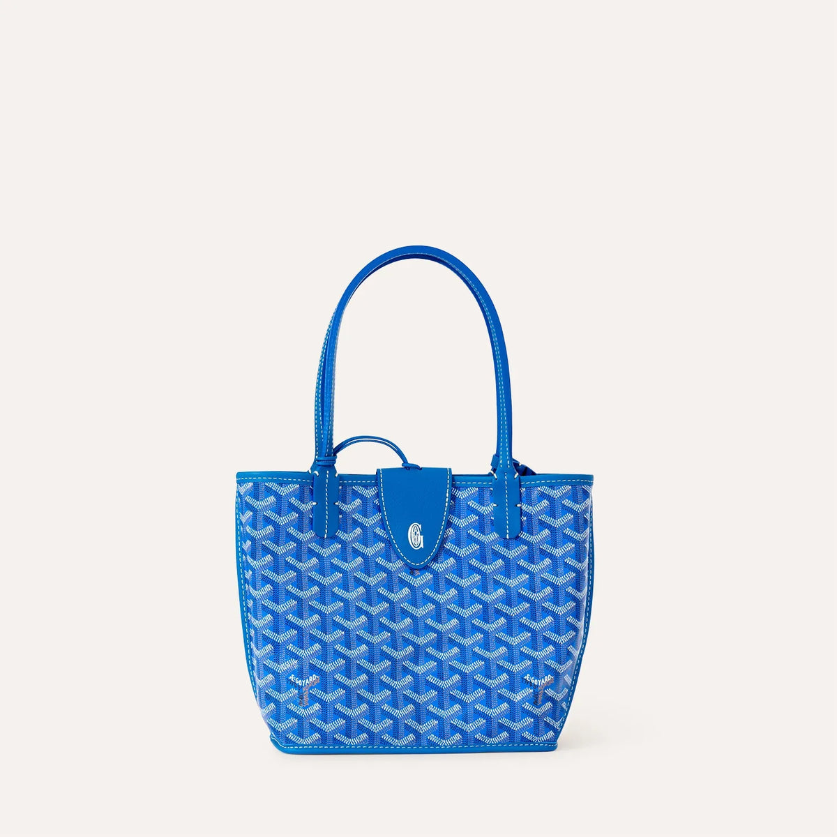 Goyard Anjou Mini Tas – productfoto 31